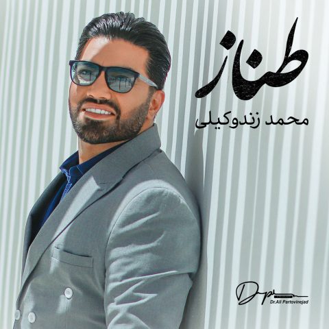 دانلود آهنگ محمد زندوکیلی طناز